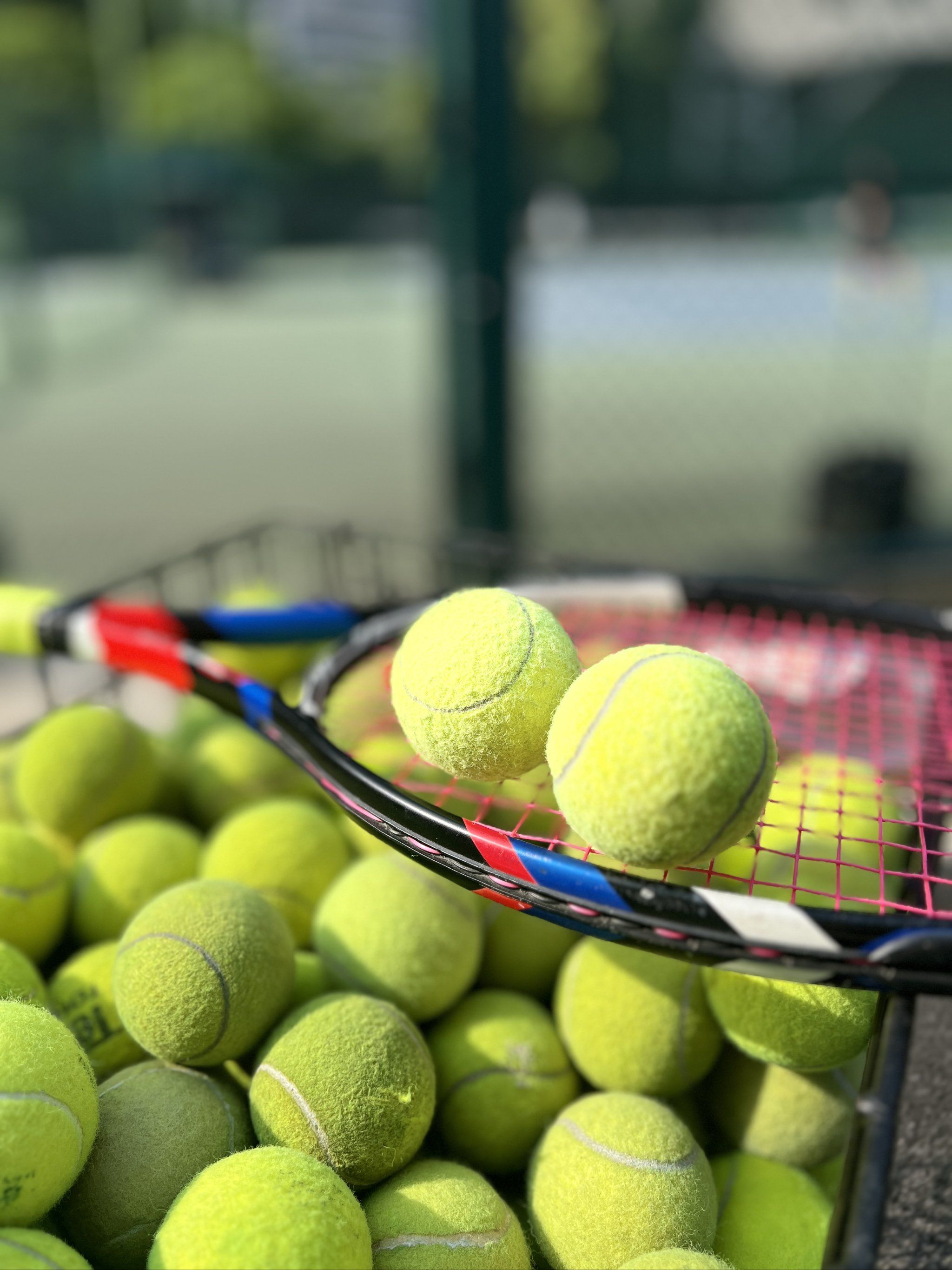 如跨性别运 如跨性别运